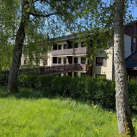 Certuv Mlyn, Zelezna Ruda, Sumava