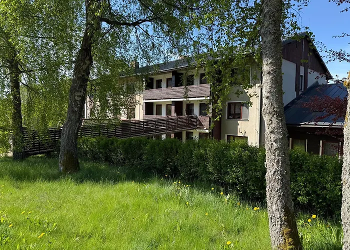 Certuv Mlyn, Zelezna Ruda, Sumava