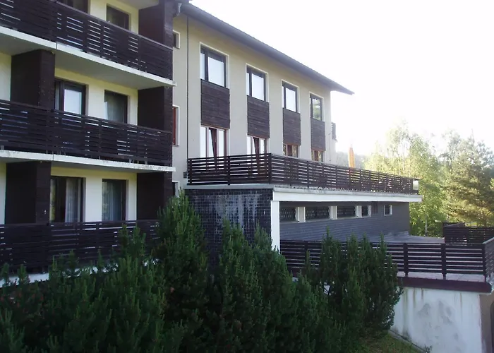 Hotell Certuv Mlyn, Zelezna Ruda, Sumava 2*
